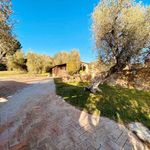 content-gallery-6-large