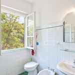 content-gallery-6-large