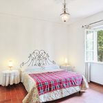 content-gallery-6-large