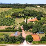 content-gallery-6-large