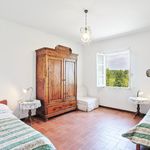 content-gallery-6-large