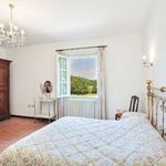 content-gallery-6-large