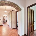 content-gallery-6-large