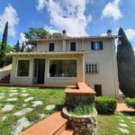 content-gallery-6-large