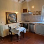 content-gallery-6-large