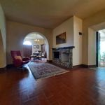 content-gallery-6-large