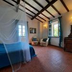 content-gallery-6-large