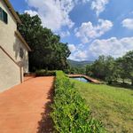 content-gallery-6-large