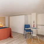 content-gallery-6-large