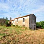 content-gallery-6-large