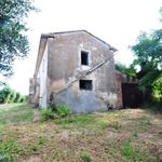 content-gallery-6-large