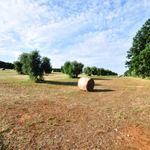 content-gallery-6-large