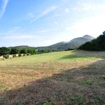 content-gallery-6-large