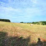 content-gallery-6-large