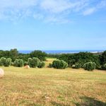 content-gallery-6-large