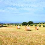 content-gallery-6-large