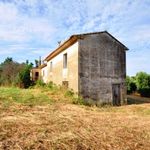 content-gallery-6-large