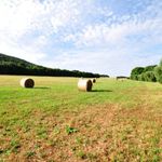 content-gallery-6-large