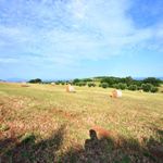 content-gallery-6-large