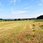 content-gallery-6-large