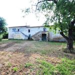 content-gallery-6-large