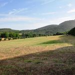 content-gallery-6-large