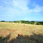 content-gallery-6-large