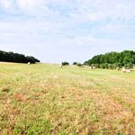 content-gallery-6-large