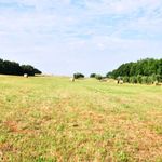 content-gallery-6-large