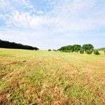 content-gallery-6-large