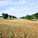 content-gallery-6-large