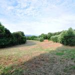 content-gallery-6-large