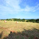 content-gallery-6-large