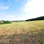 content-gallery-6-large