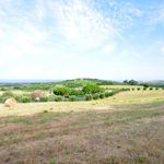 content-gallery-6-large