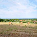 content-gallery-6-large