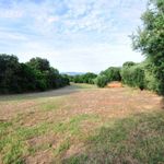 content-gallery-6-large