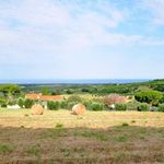 content-gallery-6-large