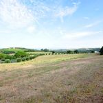 content-gallery-6-large