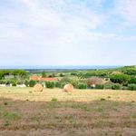 content-gallery-6-large