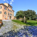 content-gallery-6-large