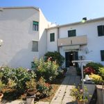 content-gallery-6-large