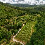 content-gallery-6-large