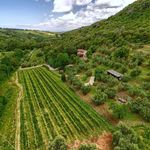 content-gallery-6-large