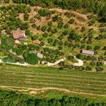 content-gallery-6-large