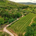 content-gallery-6-large