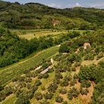 content-gallery-6-large