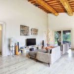 content-gallery-6-large