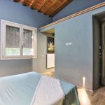 content-gallery-6-large