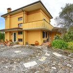 content-gallery-6-large